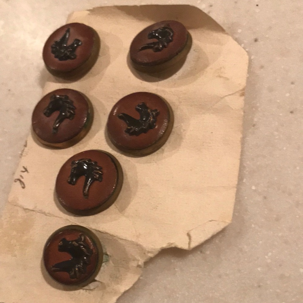 6 very vintage equestrian buttons leather with metal horse heads